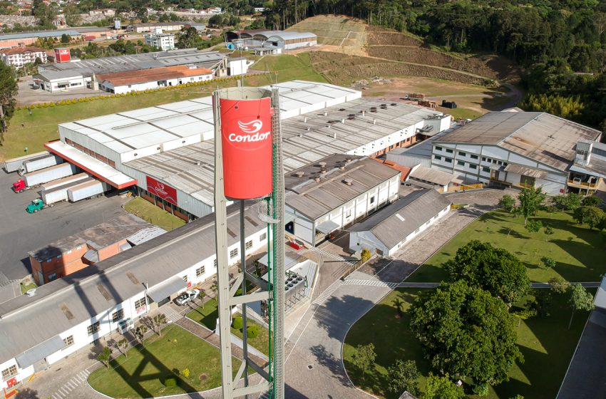  CONDOR quer manter ritmo de crescimento em todas as categorias