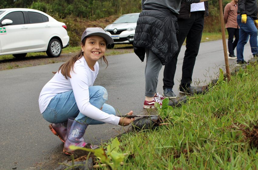  Plantio de mudas de hortênsias na Avenida dos Imigrantes