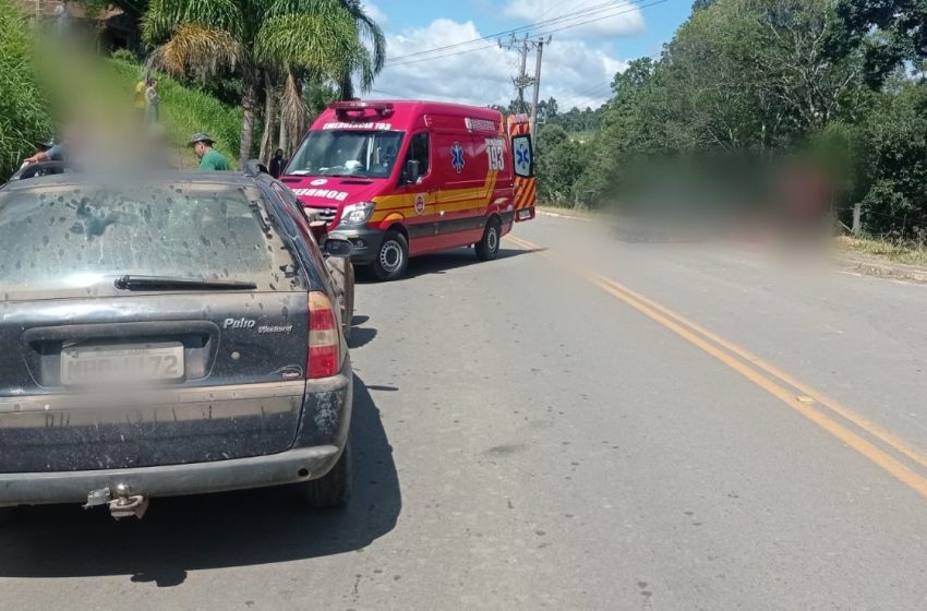  Homem perde controle do carro e bate em árvore