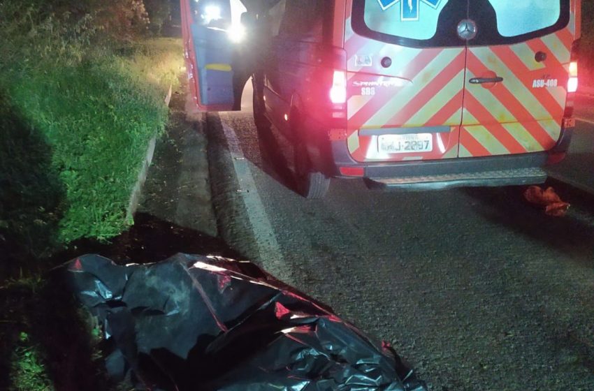  Atropelamento e morte na noite de sábado