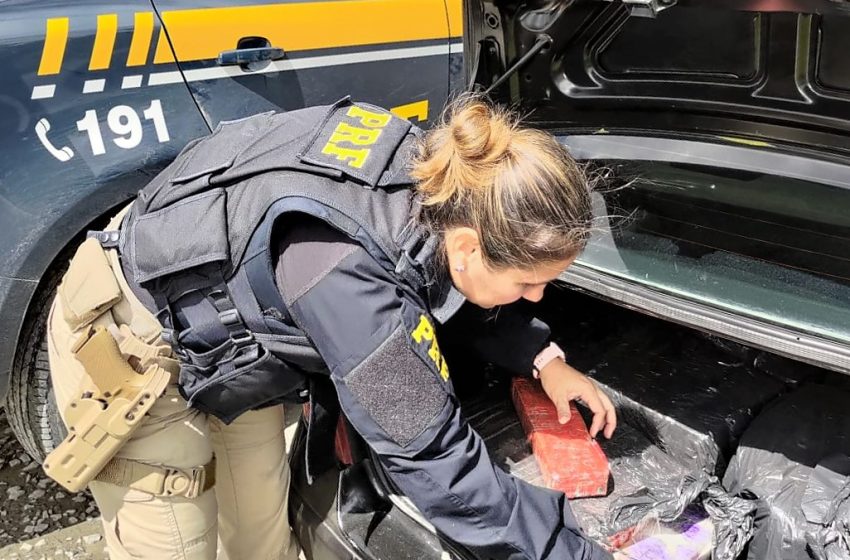  Cerca de 189 quilos de maconha e skunk são apreendidos pela PRF