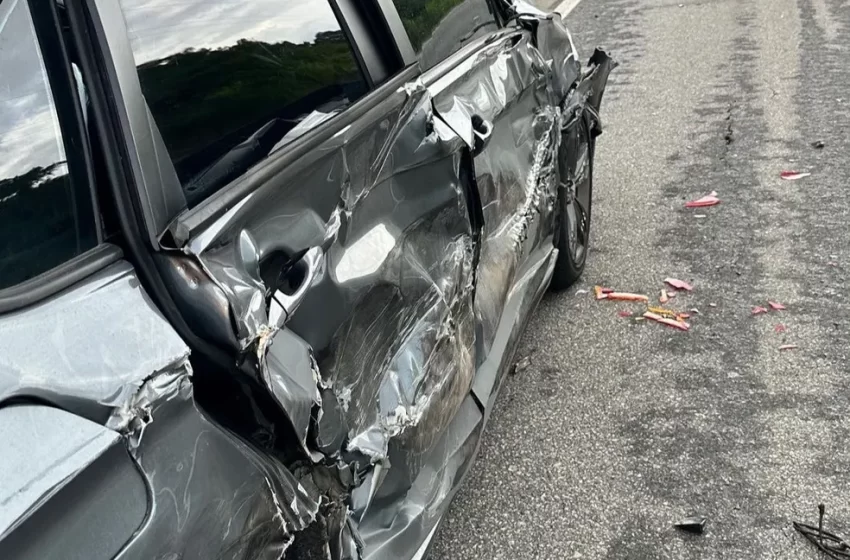  Deputada de SC tem carro prensado na BR-101