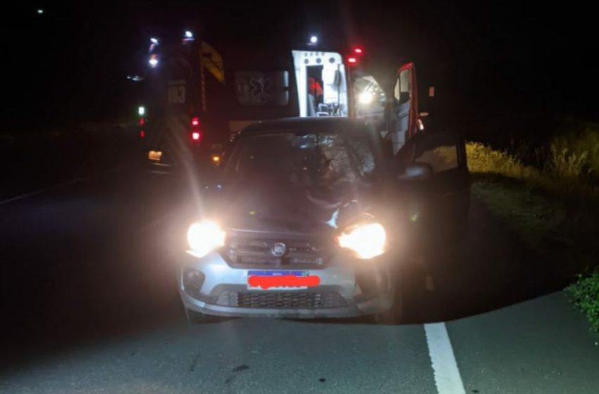  Atropelamento e morte na BR-470