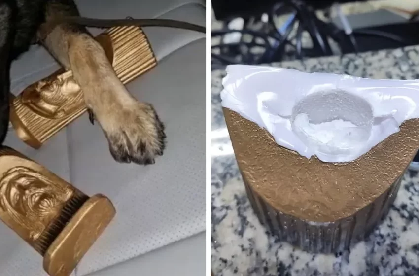  Cocaína é encontrada dentro de imagens sacras