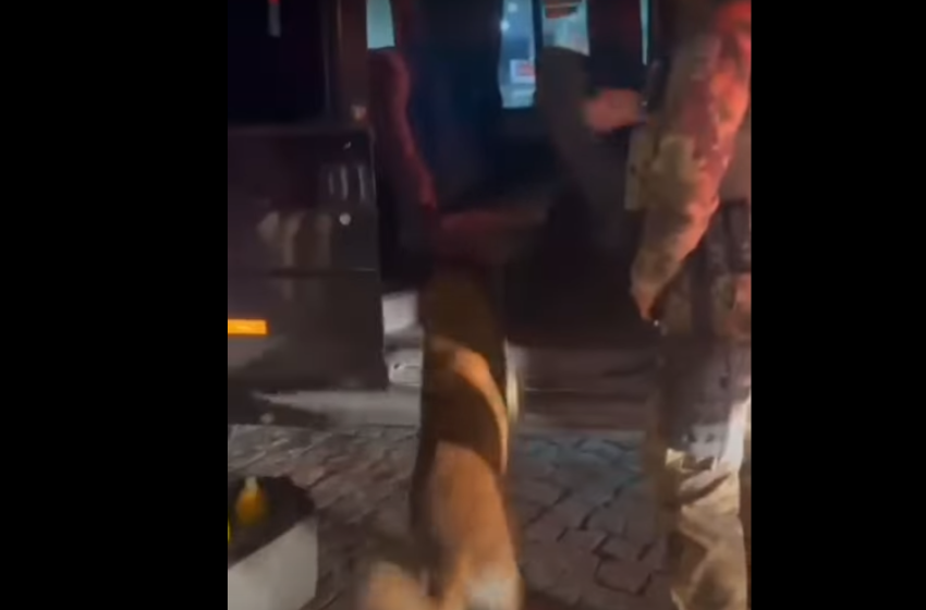  Drogas apreendidas tinham como destino festa em São Bento do Sul