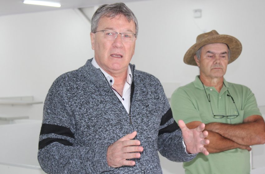  POLÍTICA: Tomazini…Chicão…asfalto…Grein