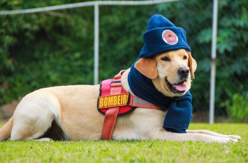  CBMSC inicia campanha do agasalho 2023