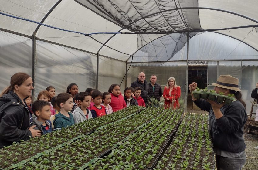  Projeto prevê reativação das hortas escolares