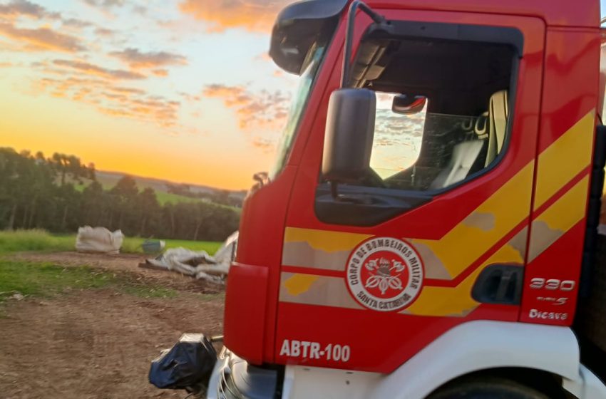  Depois de 2 horas de trabalho animal é resgatado e deixado em segurança