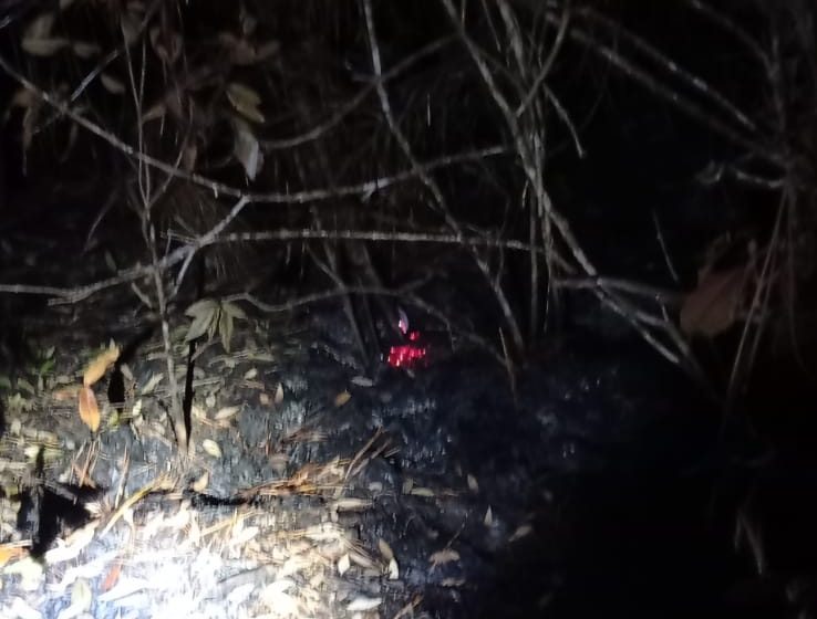  Cascata Paraíso volta a ter focos de incêndio