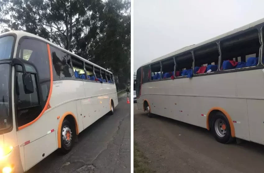  Ônibus com 42 crianças se envolve em acidente