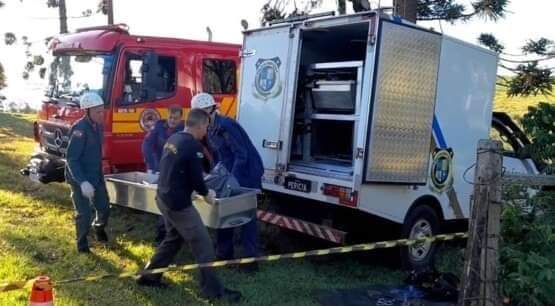  Homem morre eletrocutado enquanto colhia pinhão