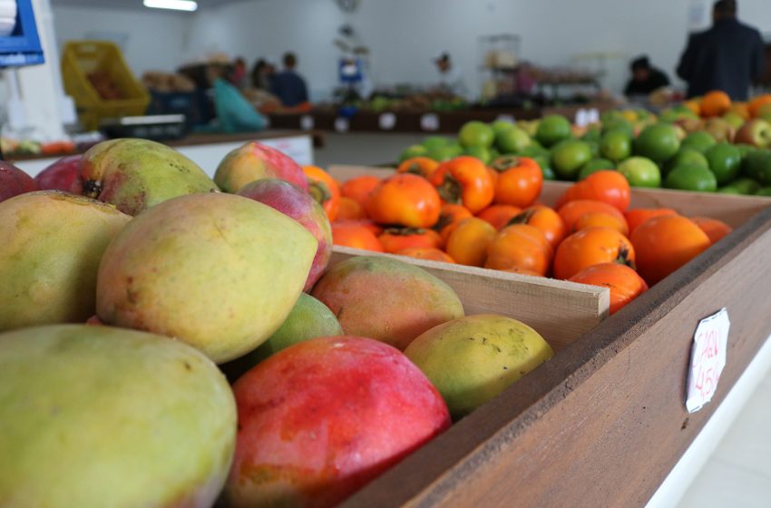  Feira Livre oferece diversos produtos à população