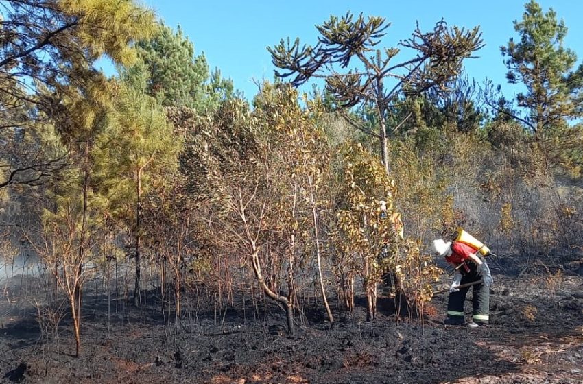  Novos focos de incêndio na Cascata