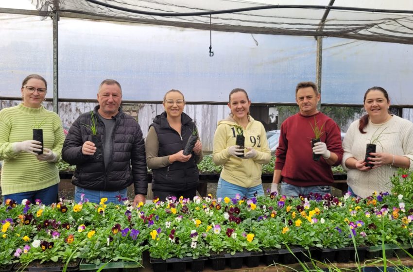  Projeto visa distribuição de mudas de citronela