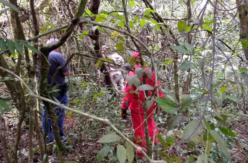  Suspeito de matar e esquartejar três pessoas da mesma família no PR é morto pela polícia em SC