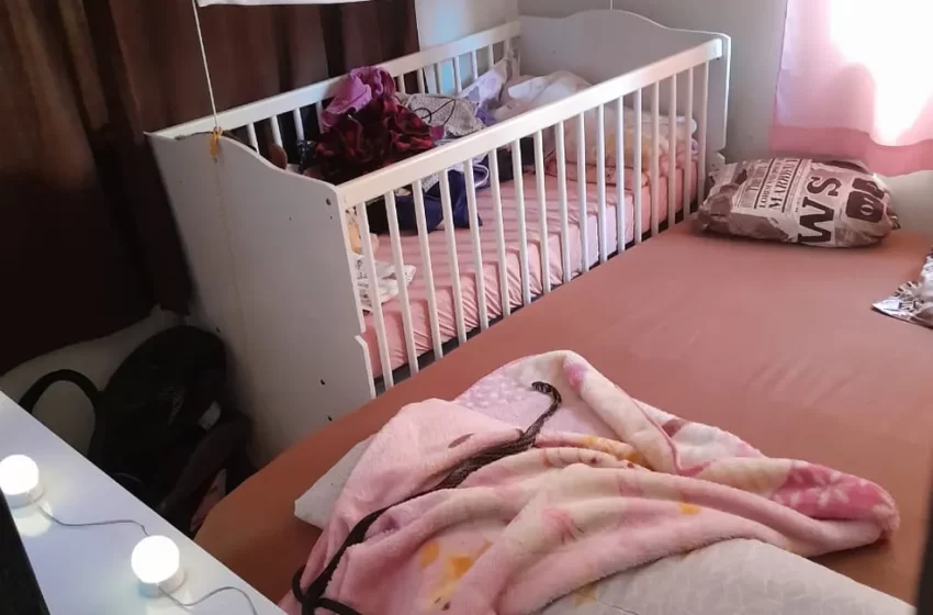  Cobra é capturada dentro de berço após dar susto em mãe e bebê