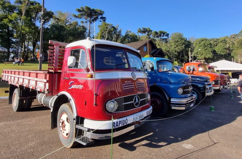  “MONSTROS DAS RUAS”: Exposição foi show