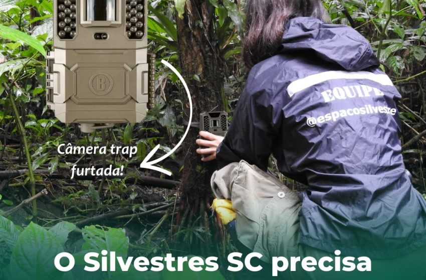  Monitoramento de lontra solta na APA Rio Vermelho está comprometido