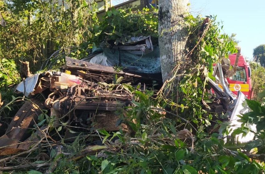  Jovem de 21 anos morre após colidir com placa em rodovia
