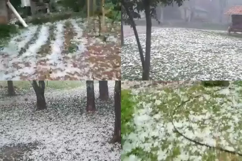  Granizo devasta plantações em municípios do Oeste de SC