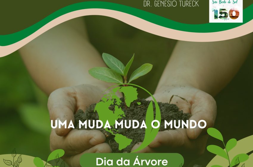  Distribuição gratuita de mudas de árvores nativas e frutíferas