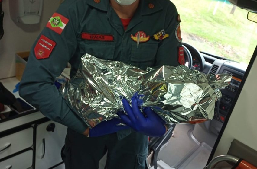  Bombeiros fazem parto emergencial na tarde desta quarta