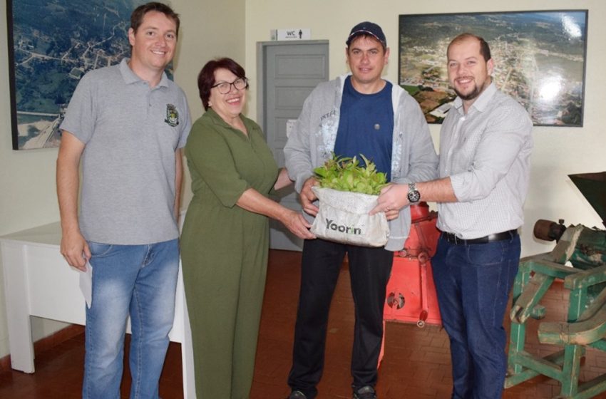  Agricultores de Campo Alegre recebem mudas de Erva Mate