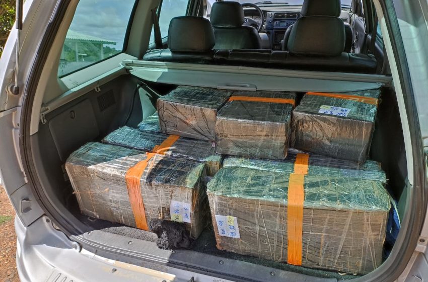  Casal é preso com mais de 300 quilos de maconha na BR-116