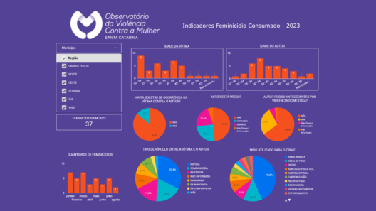  Observatório da Violência Contra a Mulher de SC lança painéis interativos com dados sobre crimes