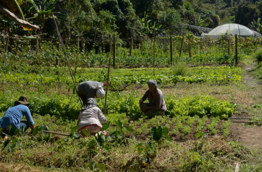  Lei institui política de empreendedorismo para jovens no campo