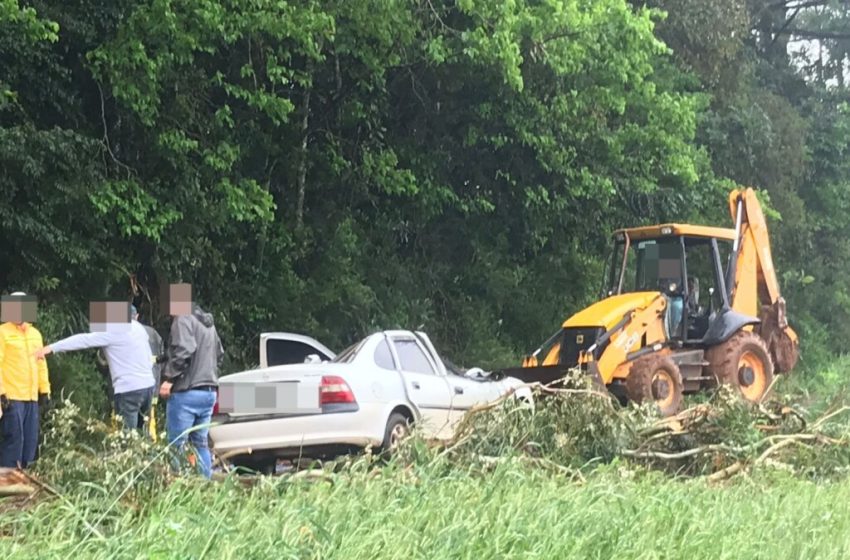  Homem morre após carro ser atingido por árvore