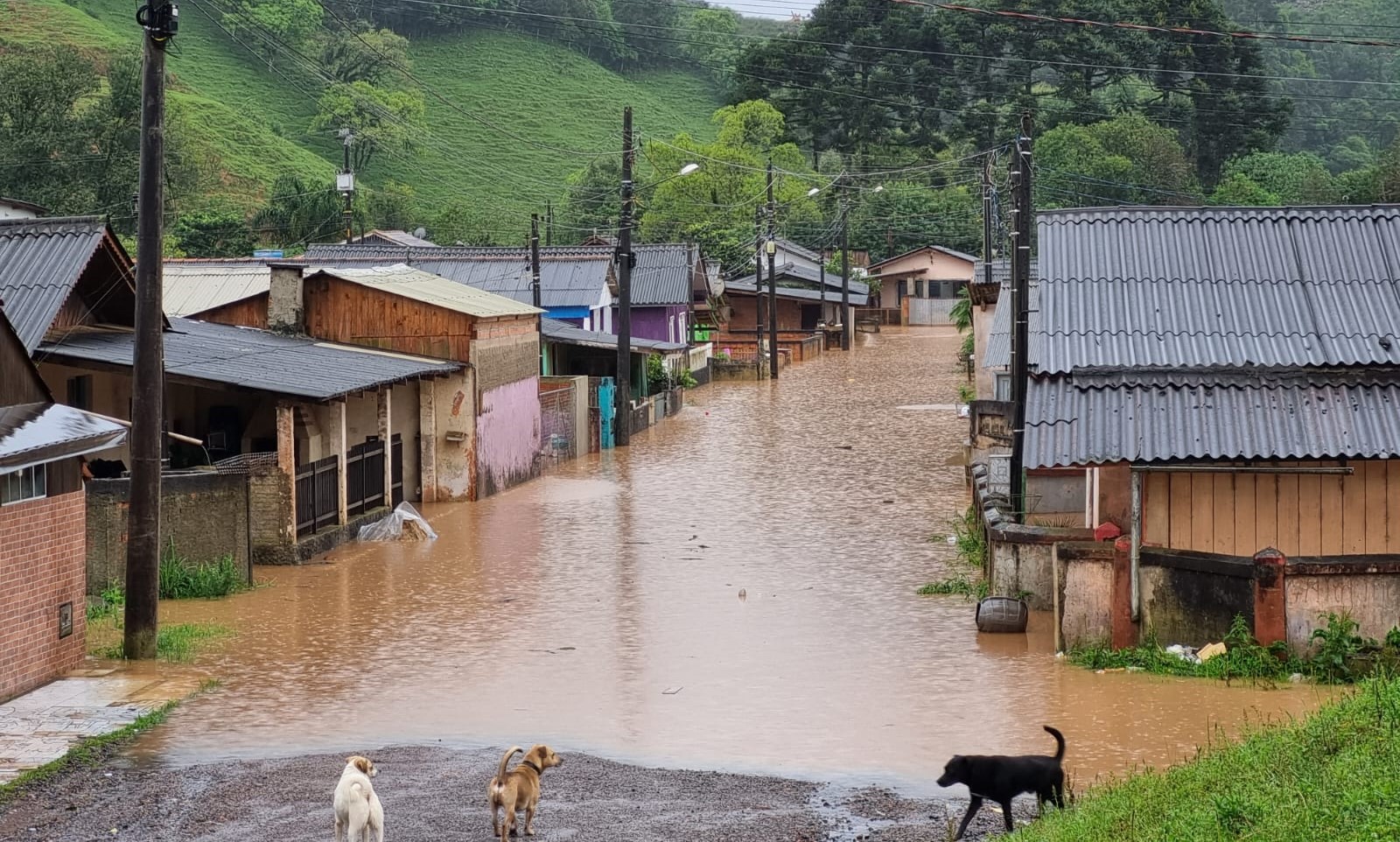  VILA SCHWARZ: Todos querem voltar para casa