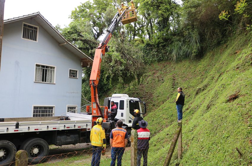  Árvore cai no telhado de residência no bairro Oxford