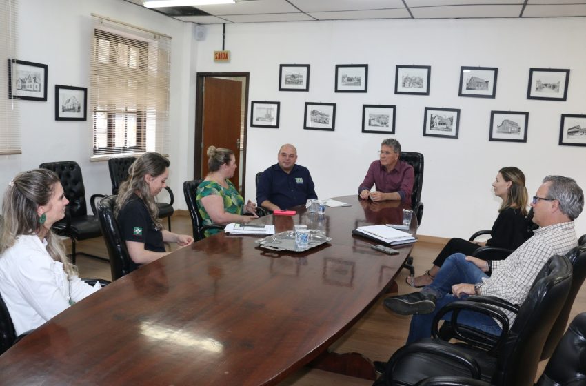  Prefeitura anuncia reorganização na matriz curricular da Educação Infantil