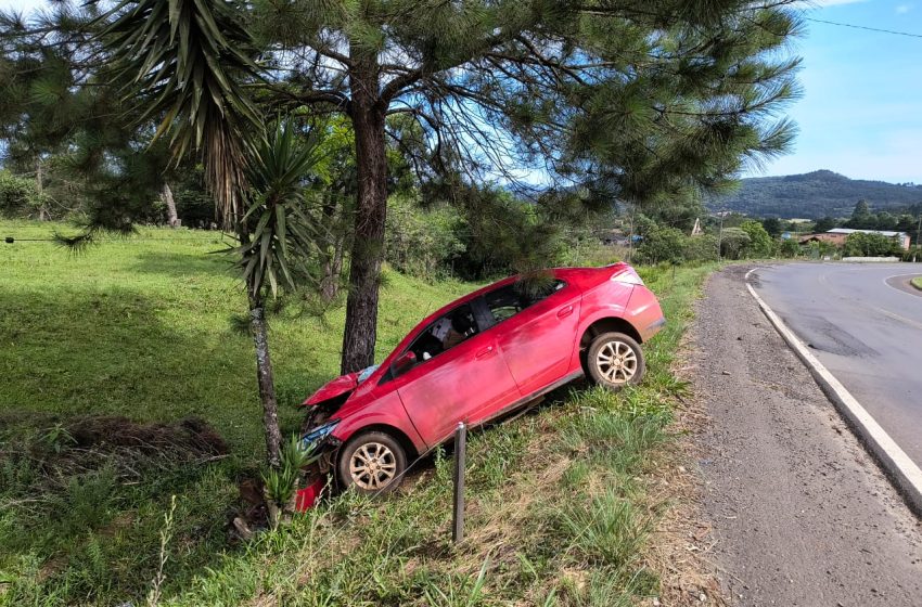  Carro colide em árvore e motorista fica ferido