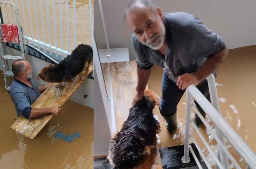  Cão é resgatado da enchente em Rio do Sul