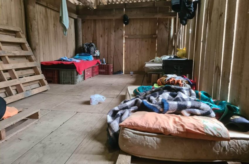  Trabalhadores em “situação degradante” são resgatados de plantação de cebola