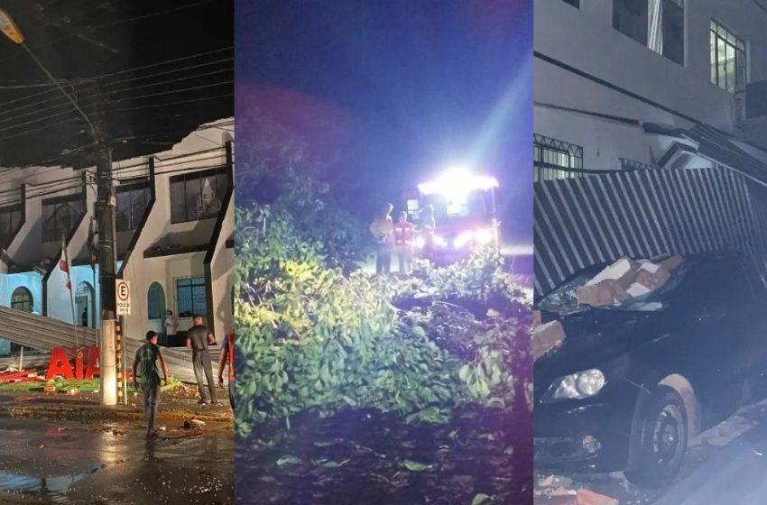  Temporal destrói árvores, derruba energia e deixa casas destelhadas no Alto Vale do Itajaí