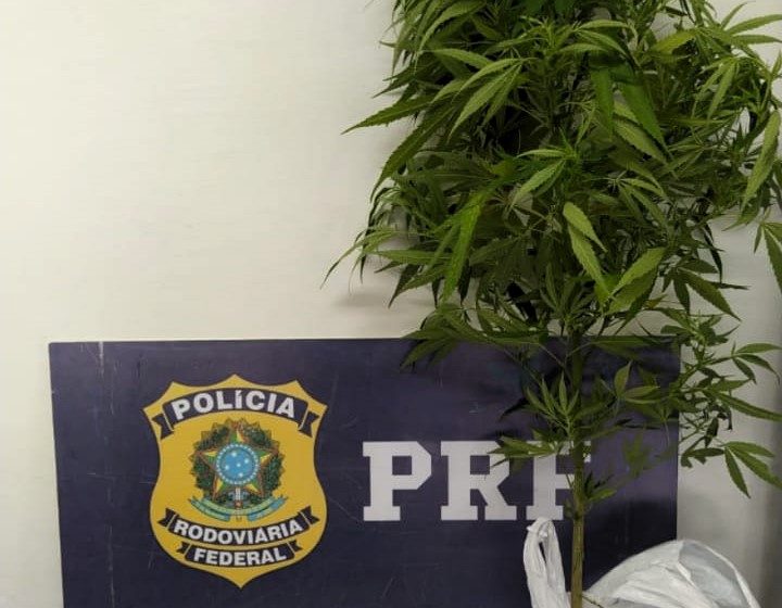  Foragido da justiça é preso em Mafra