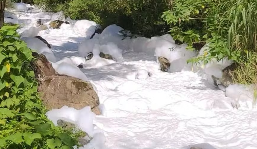  Prefeitura cria Gabinete de crise após vazamento de produto químico na Dona Francisca