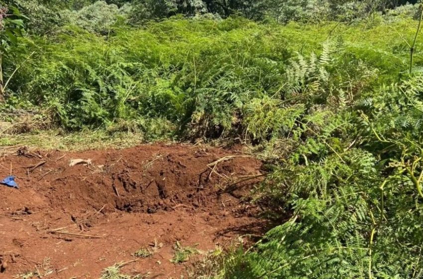  Corpo é encontrado enterrado em cova rasa