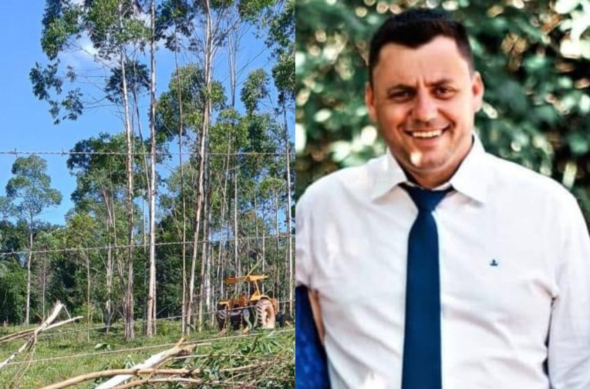 Homem morre ao ser atingido por árvore em reflorestamento