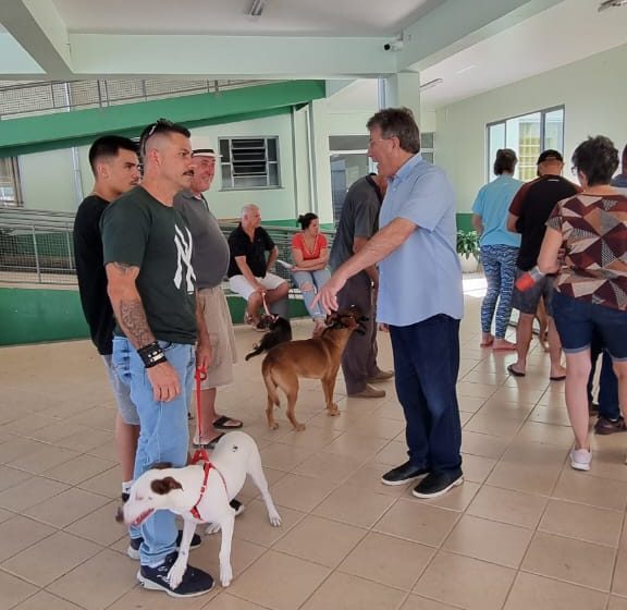  Mutirão de castração contempla 127 animais