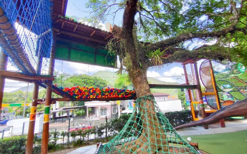  Cidade de SC promete maior circuito de arvorismo do Brasil