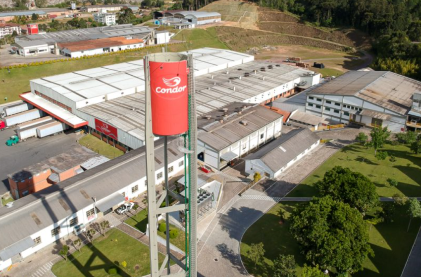  Escolha democrática e comemorativa nos 95 anos da Condor