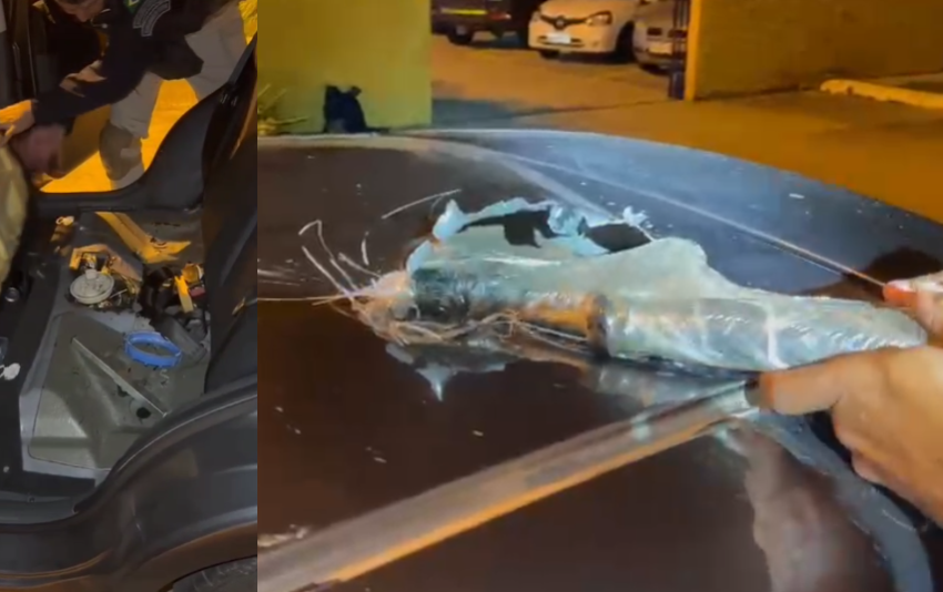  10 fuzis são apreendidos em um carro na BR-280 3m Mafra