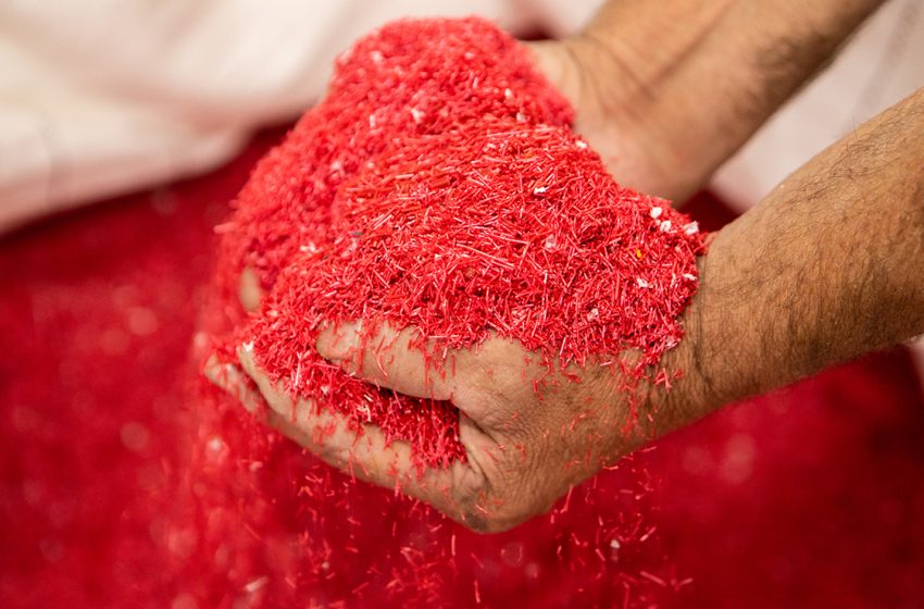  Condor fortalece agenda ambiental com ações de sustentabilidade