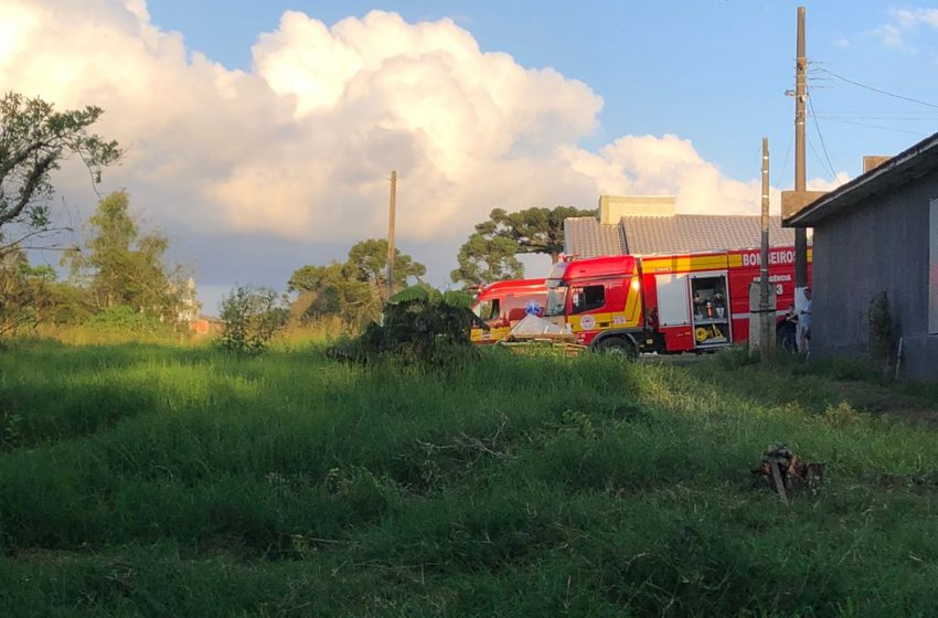  Homem preso em forquilha de árvore é resgatado