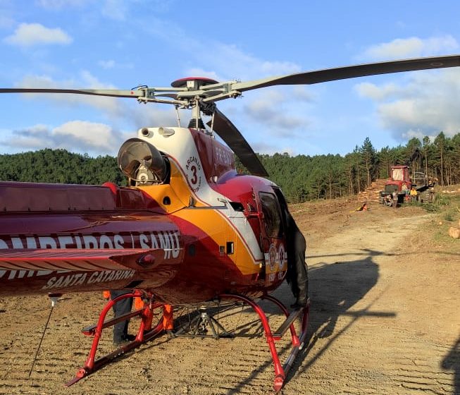  Homem morre após ser atingido por galho de árvore
